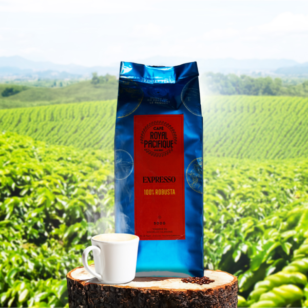 100% robusta – Image 2